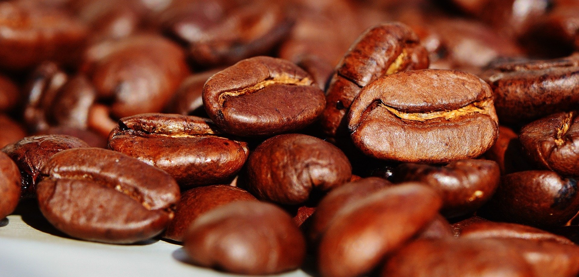 In Nahaufnahme werden ganz viele geröstete Kaffeebohnen gezeigt