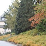 Herbst in der LWL-Klinik Marsberg (vergrößerte Bildansicht wird geöffnet)